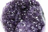 Free-Standing Amethyst Crystal Cluster - Uruguay #373205-1